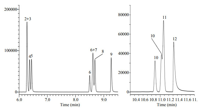 GA228のクロマト